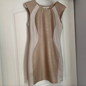 Lucy Paris Gold Reflective Shimmer Mini Dress